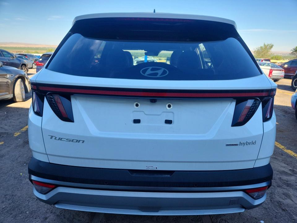 Photo 6 from auction – 2025 HYUNDAI TUCSON with VIN KM8JEDD19SU396503