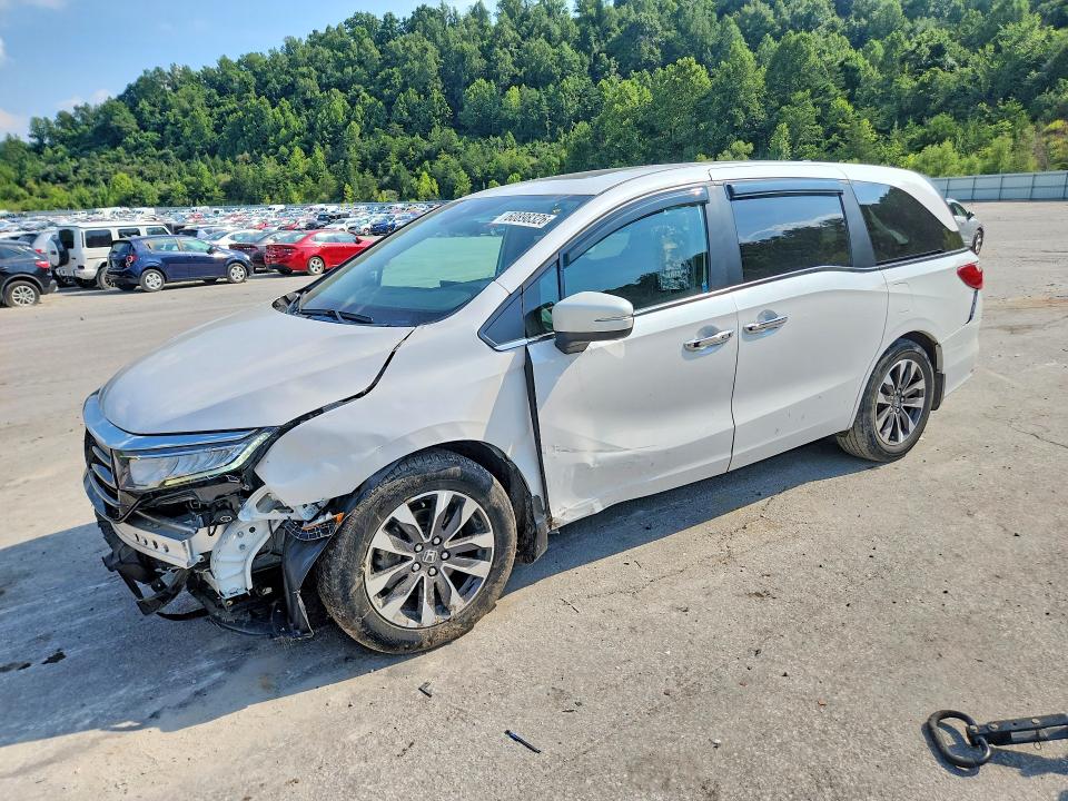 HONDA ODYSSEY 2024 with VIN 5FNRL6H68RB075635 - Photo from auction