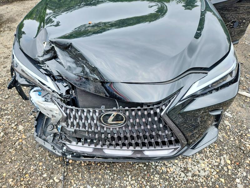 Photo 12 from auction – 2026 LEXUS NX with VIN 2T2GGCEZ3TC107570