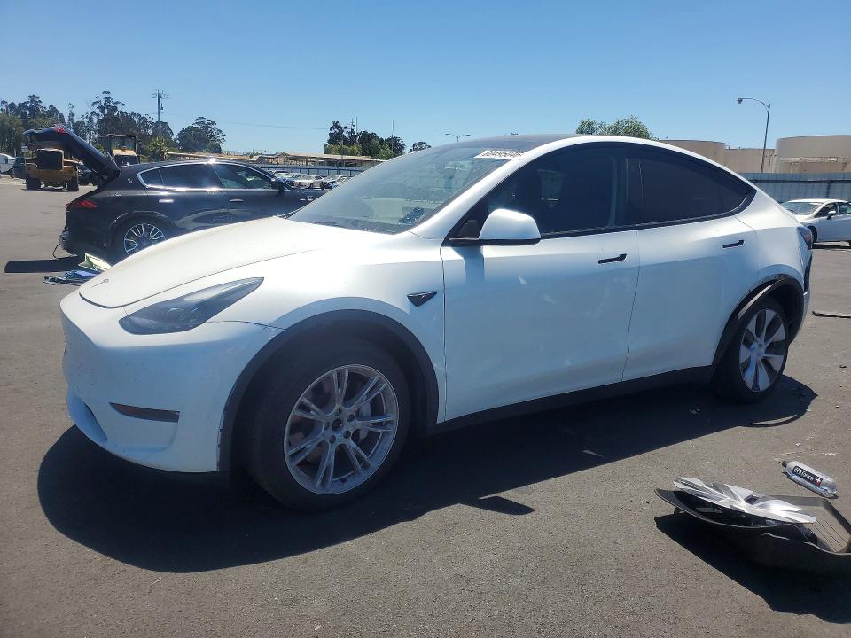 TESLA Y 2024 with VIN 7SAYGDEE8RF006088 - Photo from auction