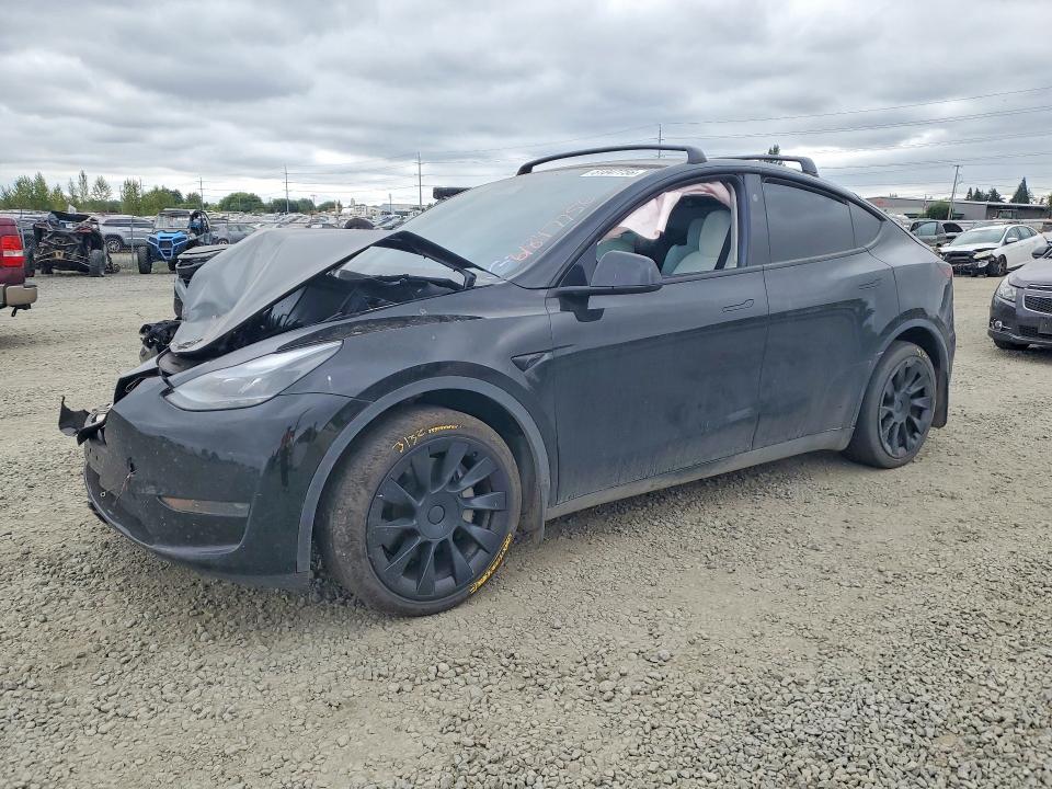 TESLA MODEL Y 2024 con VIN 7SAYGDED9RF184437 - Foto de la subasta