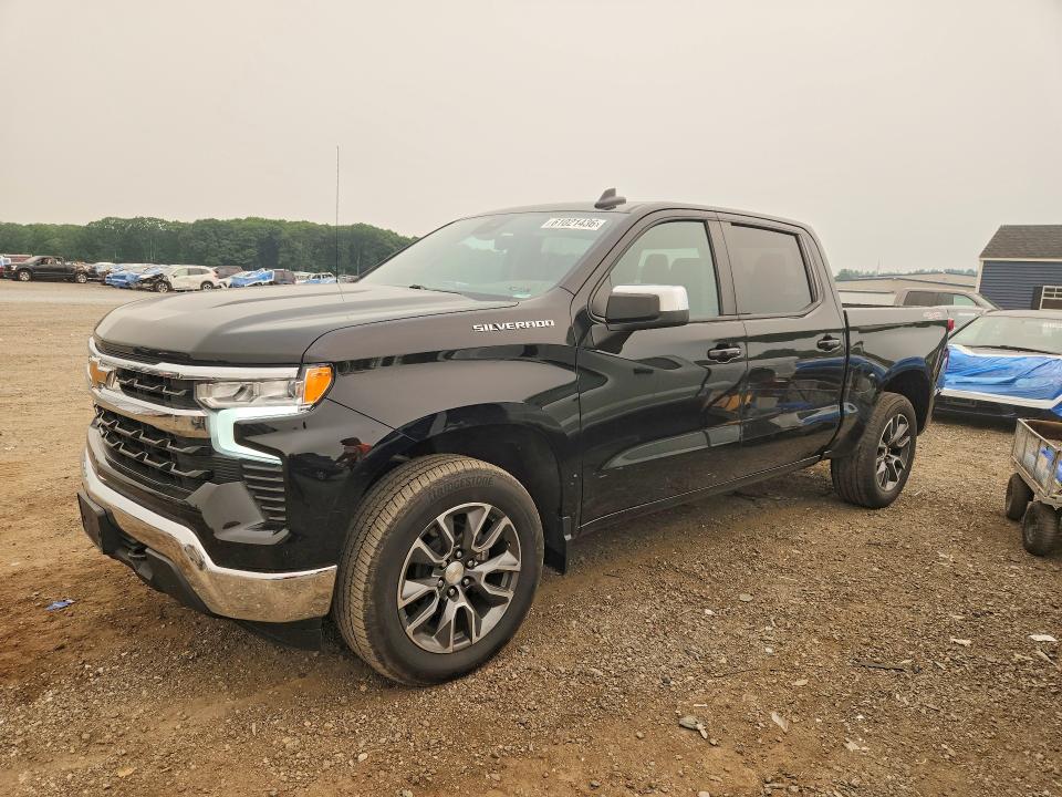 CHEVROLET SILVERADO 2023 with VIN 2GCUDDED5P1105978 - Photo from auction