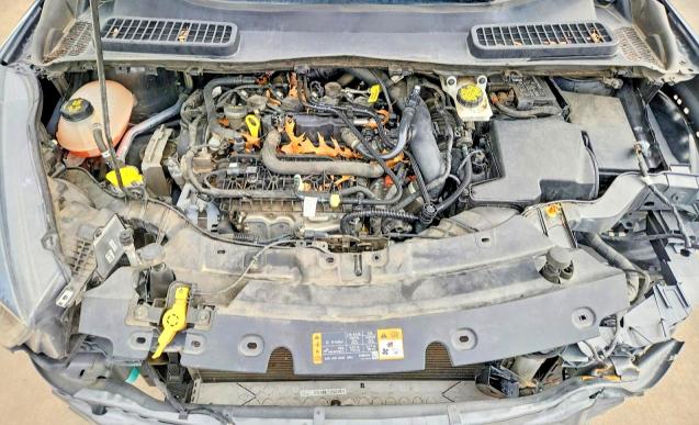Photo 12 from auction – 2019 FORD ESCAPE with VIN 1FMCU0GD1KUB58381