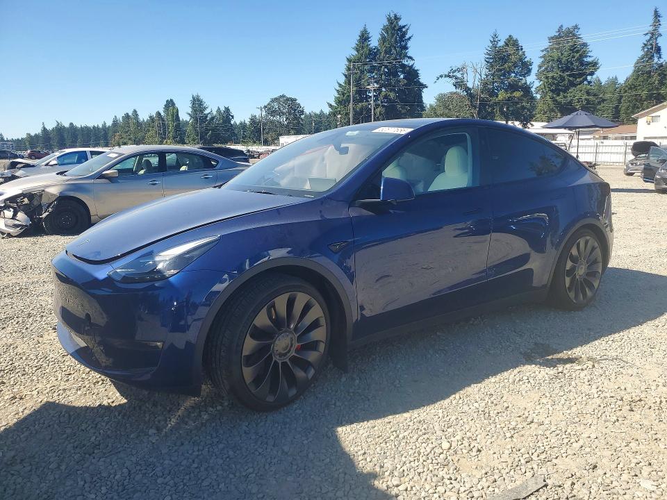 2024 TESLA MODEL  Y