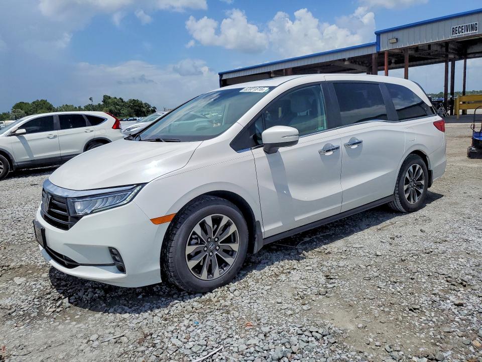 HONDA ODYSSEY 2024 with VIN 5FNRL6H64RB039179 - Photo from auction