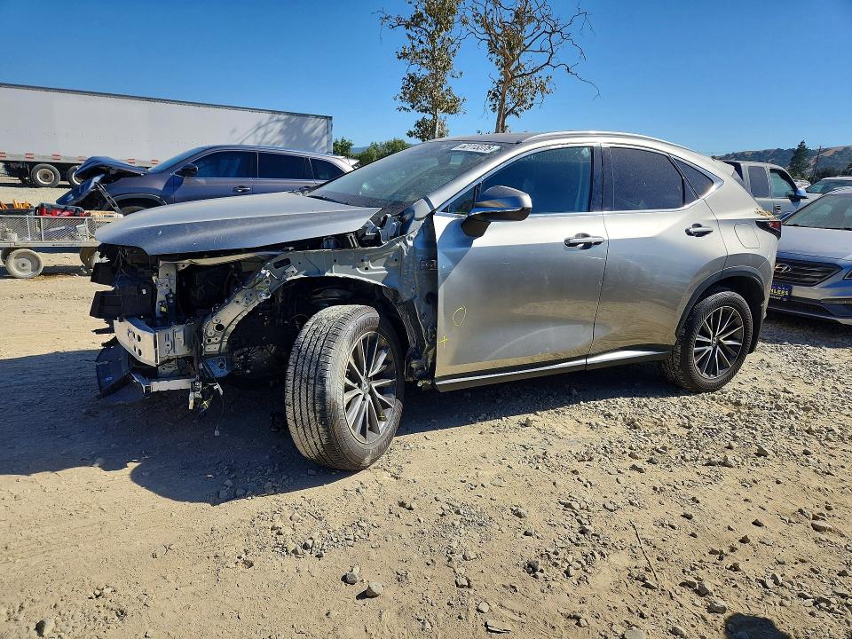 Photo 1 from auction – 2024 LEXUS NX 250 with VIN 2T2ADCAZ1RC012342