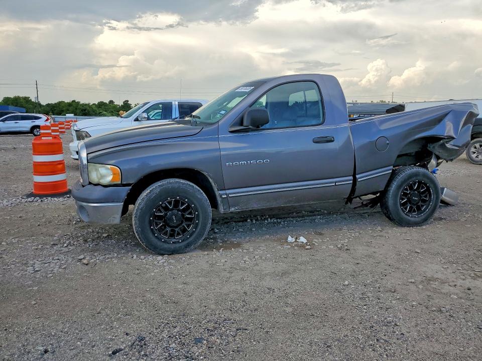 DODGE RAM 1500 2002 with VIN 1D7HA16K62J226786 - Photo from auction
