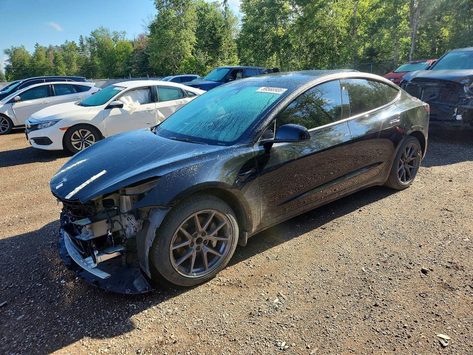 TESLA MODEL 3 2023 with VIN 5YJ3E1EA0PF507093 - Photo from auction