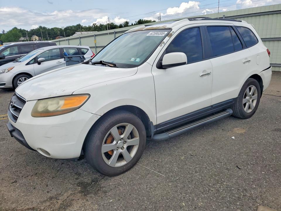 HYUNDAI SANTA FE 2007 with VIN 5NMSH13E77H048894 - Photo from auction