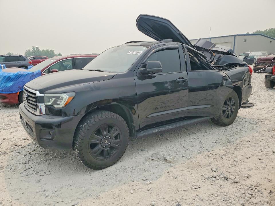 TOYOTA SEQUOIA 2019 with VIN 5TDBY5G15KS174210 - Photo from auction