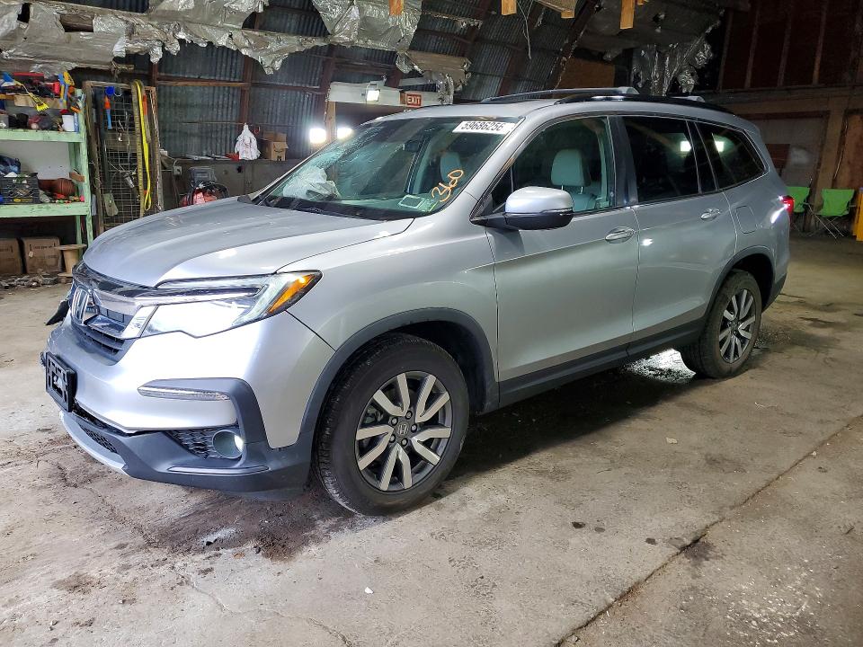 HONDA PILOT 2019 with VIN 5FNYF6H50KB062507 - Photo from auction