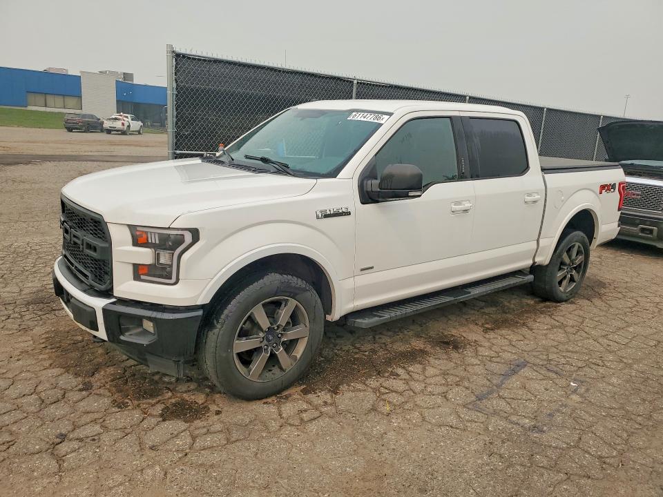 FORD F150 2017 with VIN 1FTEW1EG4HFB95299 - Photo from auction