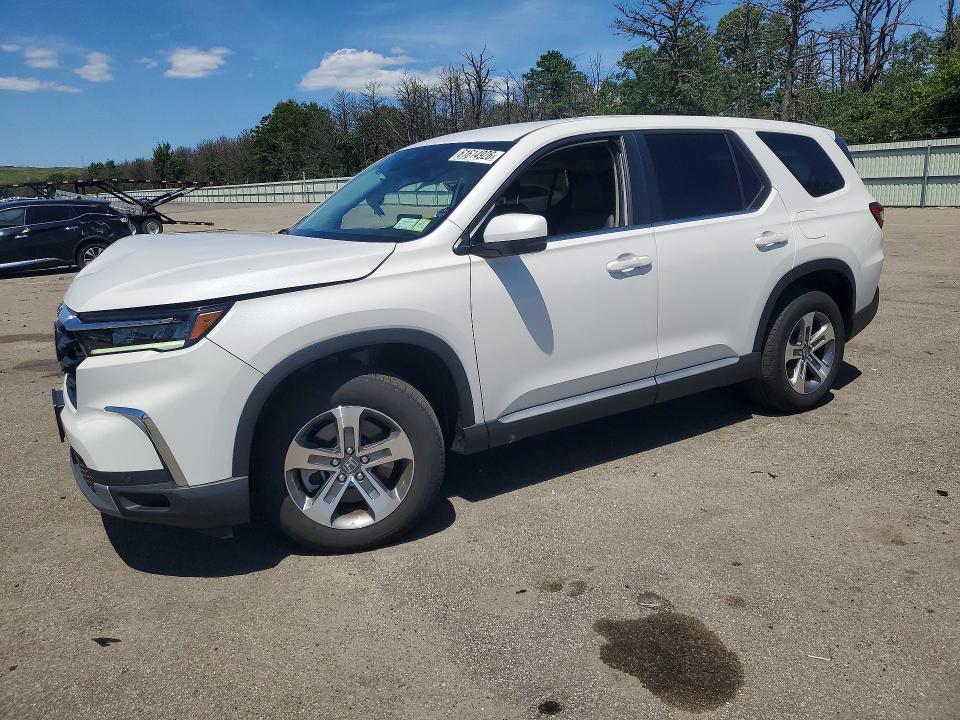 HONDA PILOT 2024 with VIN 5FNYG1H46RB045776 - Photo from auction