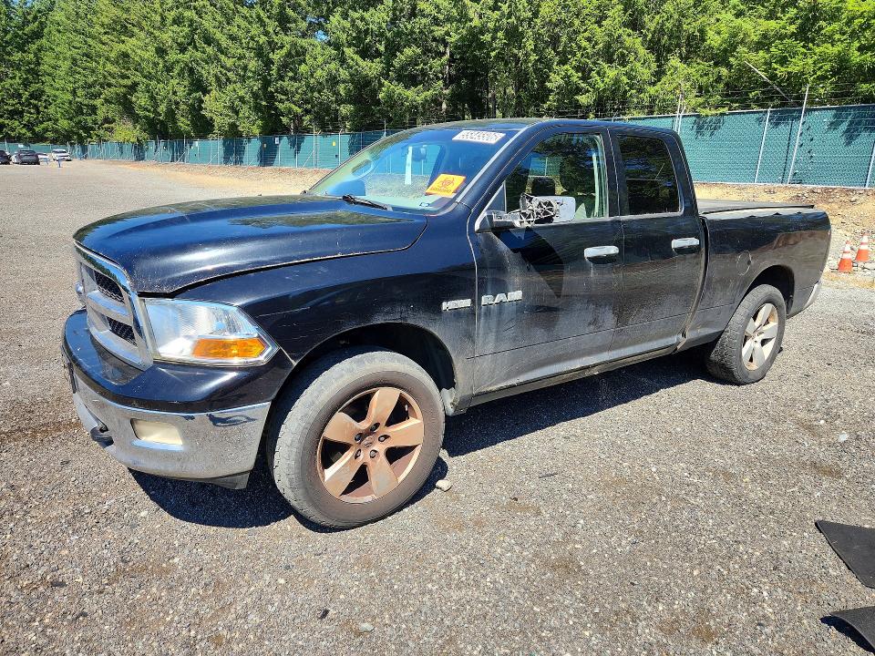DODGE RAM 1500 2009 with VIN 1D3HV18TX9S820345 - Photo from auction