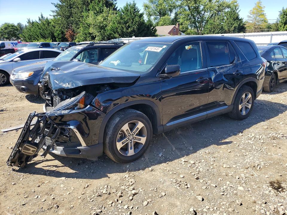 2024 HONDA PILOT - Търг №62401646