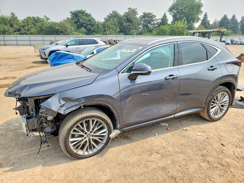2025 LEXUS NX - Търг №61382966