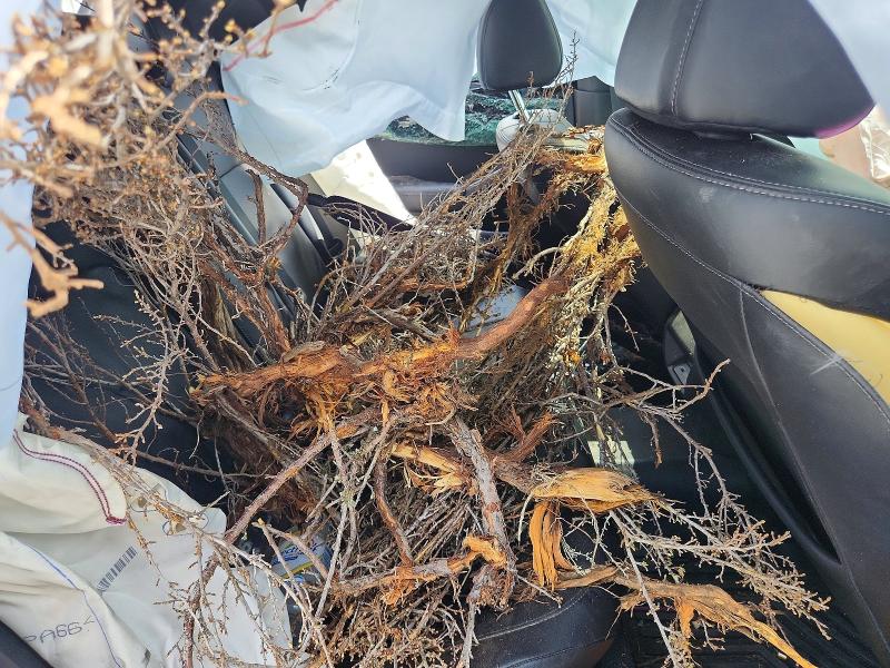 Photo 10 from auction – 2022 HONDA CIVIC with VIN 19XFL1H85NE021555