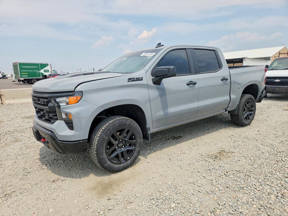 CHEVROLET SILVERADO 2024 with VIN 3GCUDCE88RG447092 - Photo from auction