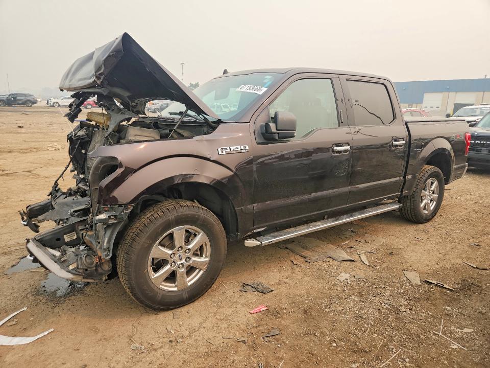 FORD F150 2019 with VIN 1FTEW1EP5KFD44469 - Photo from auction