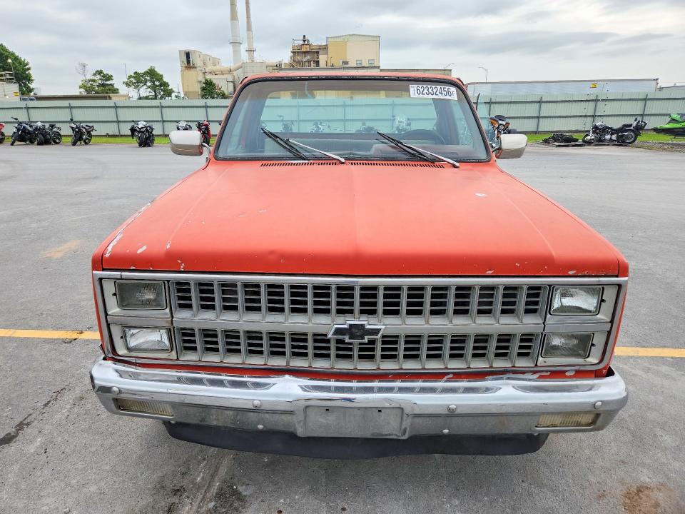 Photo 5 from auction – 1981 CHEVROLET C10 with VIN 1GCDC14D8BB131891