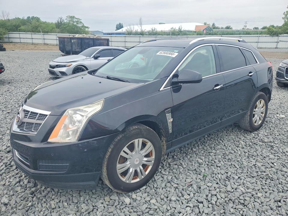 CADILLAC SRX 2011 with VIN 3GYFNAEY1BS665964 - Photo from auction