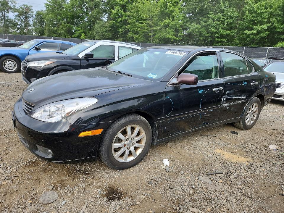 LEXUS ES 2002 with VIN JTHBF30G520060038 - Photo from auction