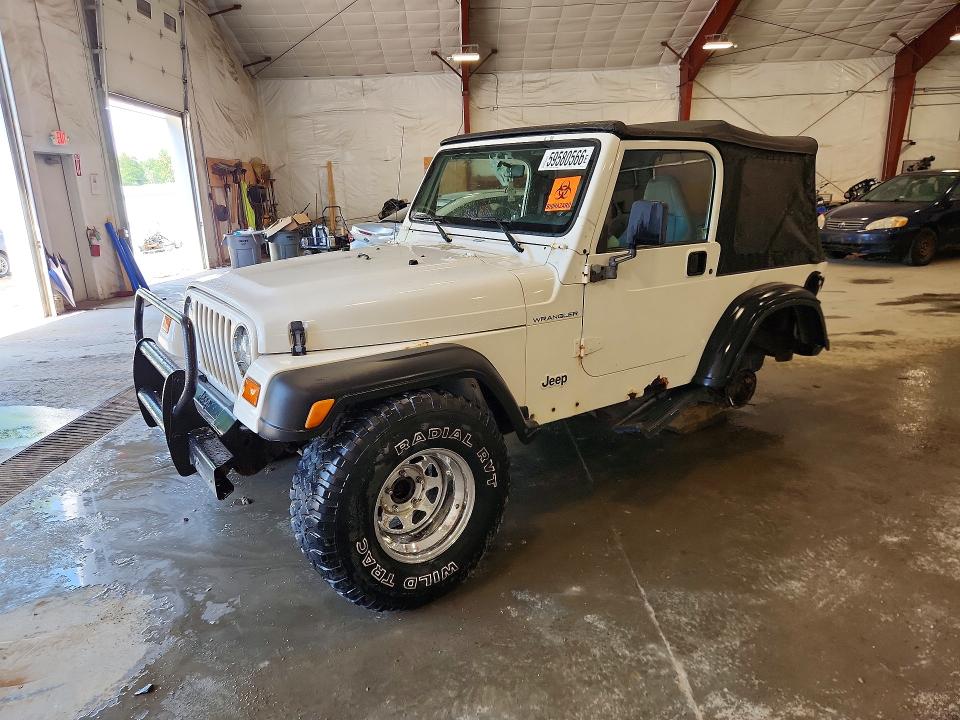 JEEP WRANGLER / TJ 1998 with VIN 1J4FY29P4WP756956 - Photo from auction