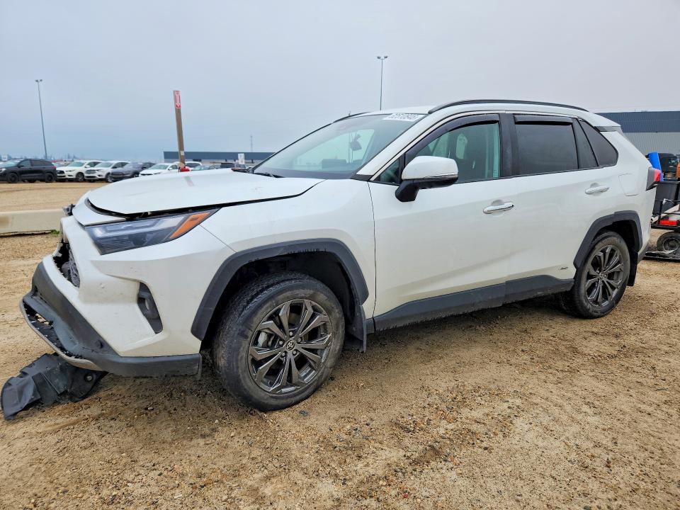 TOYOTA RAV4 2023 with VIN 2T3DWRFV8PW179174 - Photo from auction