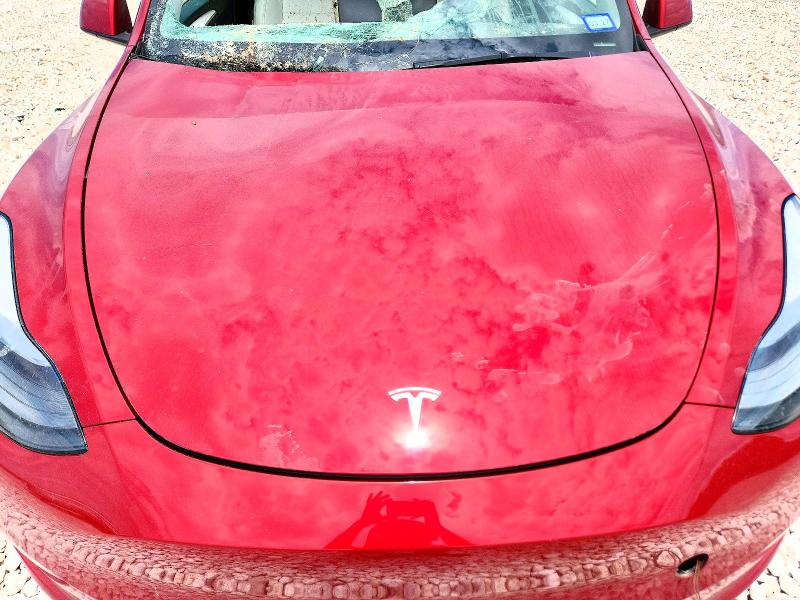 Photo 11 from auction – 2024 TESLA MODEL Y with VIN 7SAYGDED3RF024862