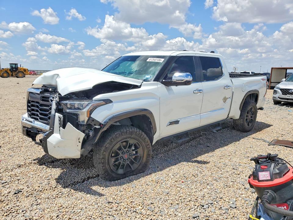 2025 TOYOTA TUNDRA - Търг №61340106
