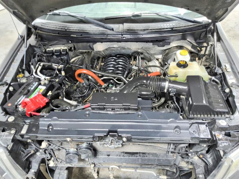 Photo 11 from auction – 2014 FORD F150 with VIN 1FTFW1CF4EKD42870