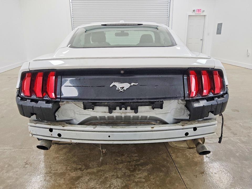 Photo 6 from auction – 2019 FORD MUSTANG with VIN 1FA6P8TH4K5162134