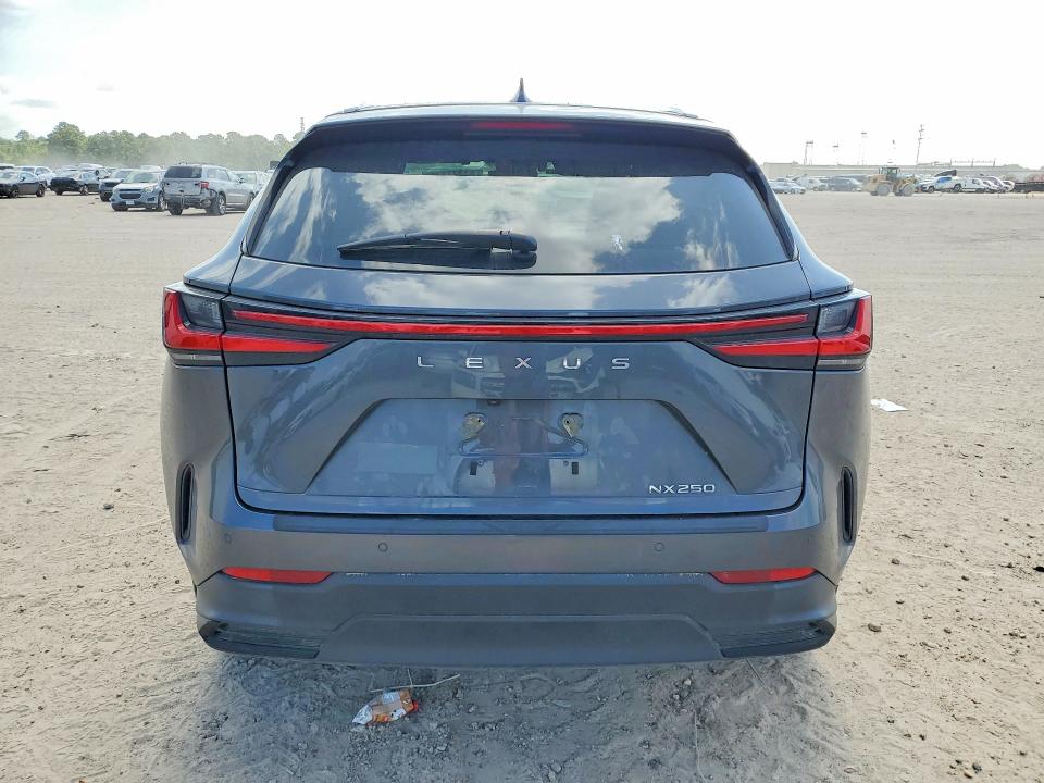 Photo 6 from auction – 2025 LEXUS NX with VIN 2T2GDCAZ1SC028993