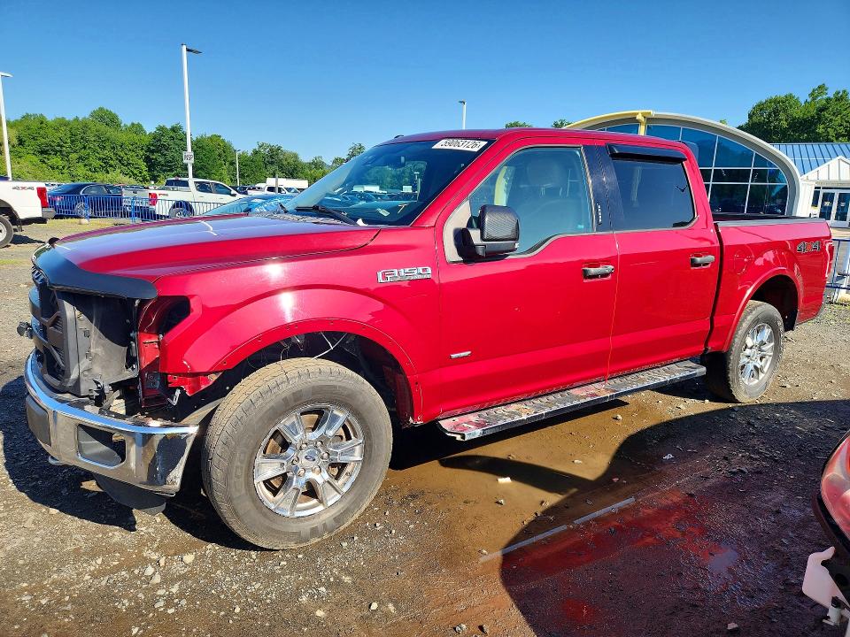 FORD F150 2016 with VIN 1FTEW1EG1GFB60198 - Photo from auction