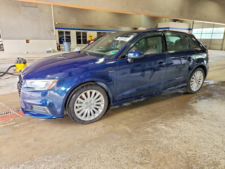 AUDI A3 2017 with VIN WAUUPBFF9HA119530 - Photo from auction