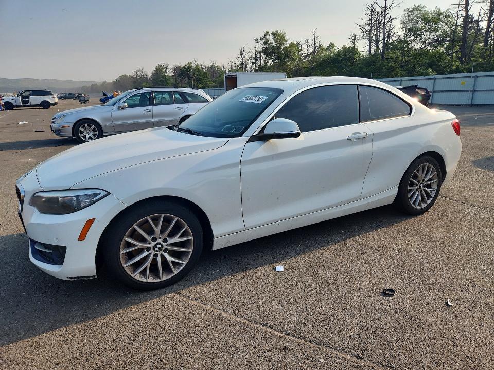 BMW 228 2016 with VIN WBA1G9C55GV599046 - Photo from auction
