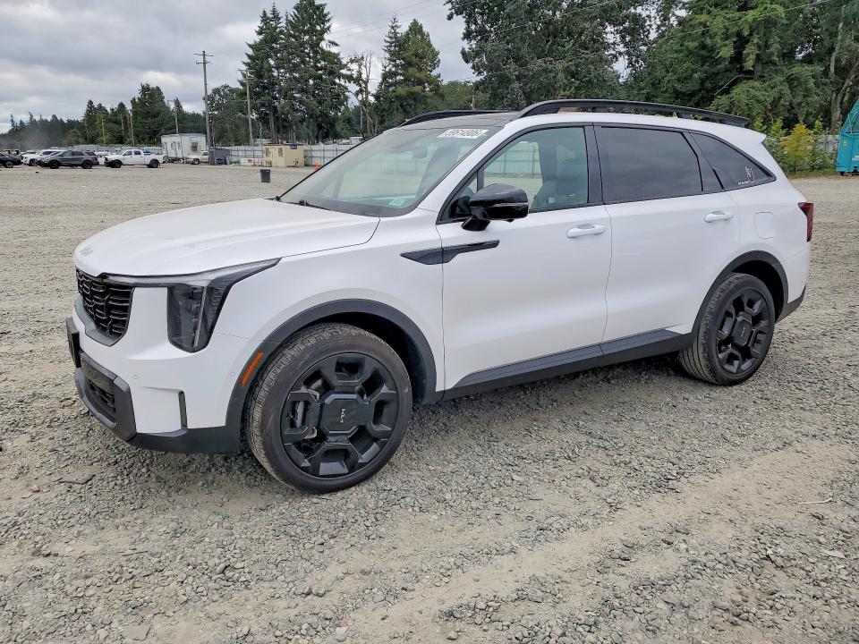 KIA SORENTO 2024 with VIN 5XYRKDJF2RG282595 - Photo from auction