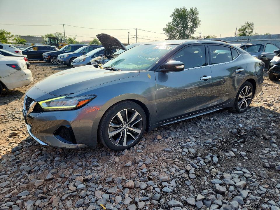 NISSAN MAXIMA 2019 with VIN 1N4AA6AV9KC366786 - Photo from auction