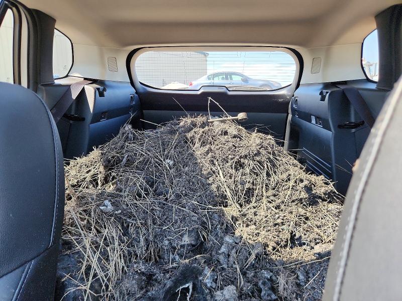 Foto 10 de la subasta – 2025 MAZDA CX-50 con VIN 7MMVABDYXSN328045
