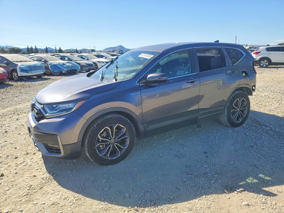 HONDA CR-V 2020 with VIN 7FART6H53LE021324 - Photo from auction