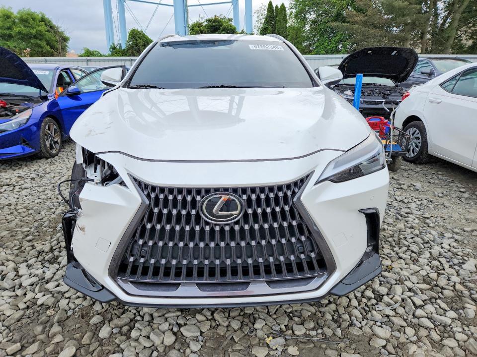 Photo 5 from auction – 2025 LEXUS NX 350 with VIN 2T2AGCEZXSC071493