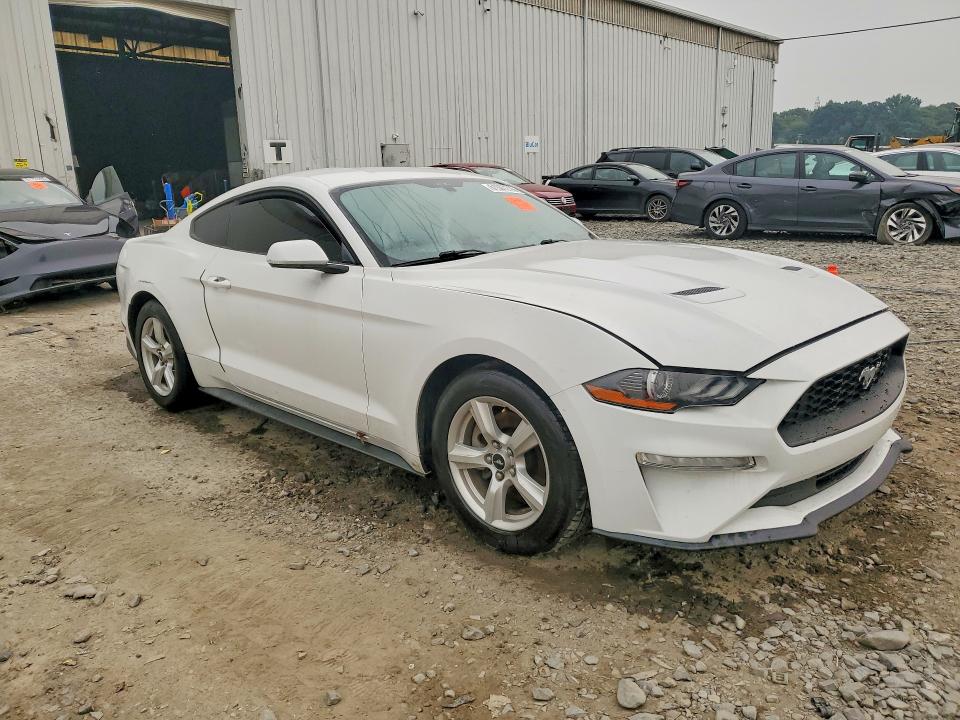 Photo 4 from auction – 2019 FORD MUSTANG with VIN 1FA6P8TH3K5105634