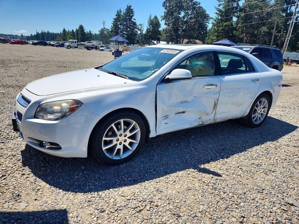 CHEVROLET MALIBU 2010 with VIN 1G1ZE5EB0AF151542 - Photo from auction