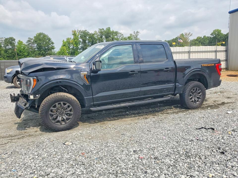 FORD F150 2021 with VIN 1FTEW1E81MFC18198 - Photo from auction