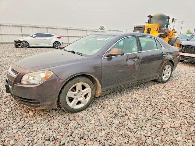 CHEVROLET MALIBU 2011 with VIN 1G1ZA5EU7BF151102 - Photo from auction