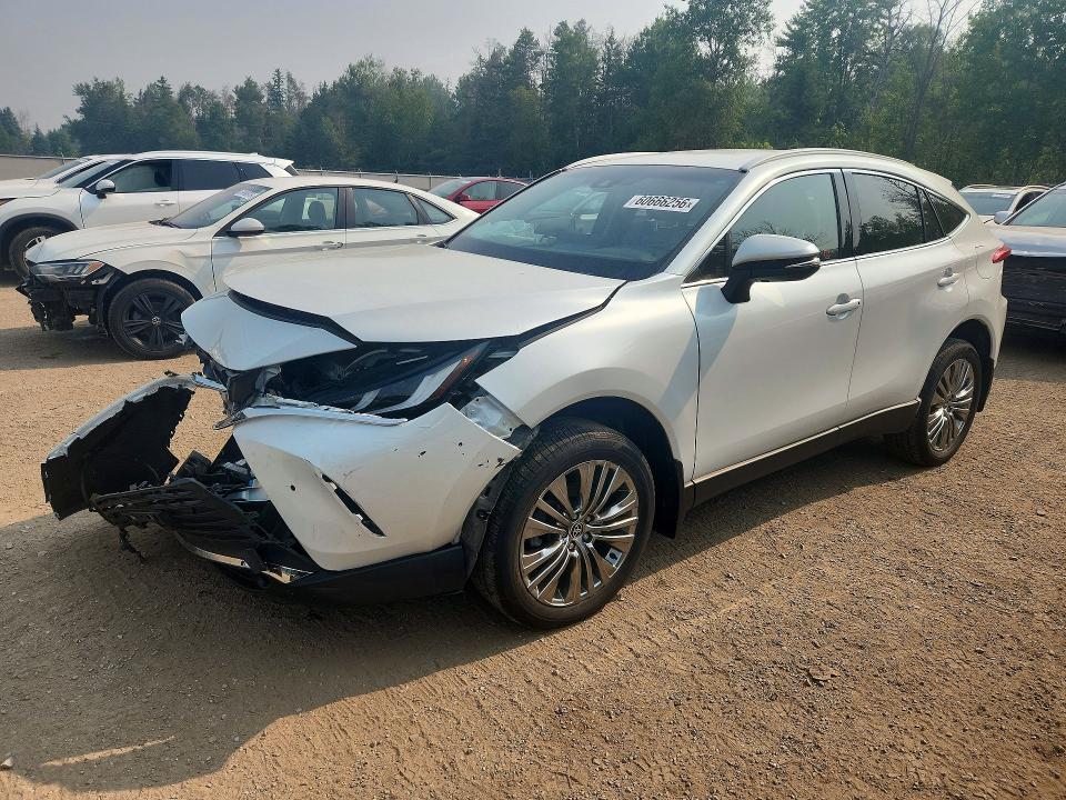 TOYOTA VENZA 2024 with VIN JTEAAAAH5RJ178100 - Photo from auction