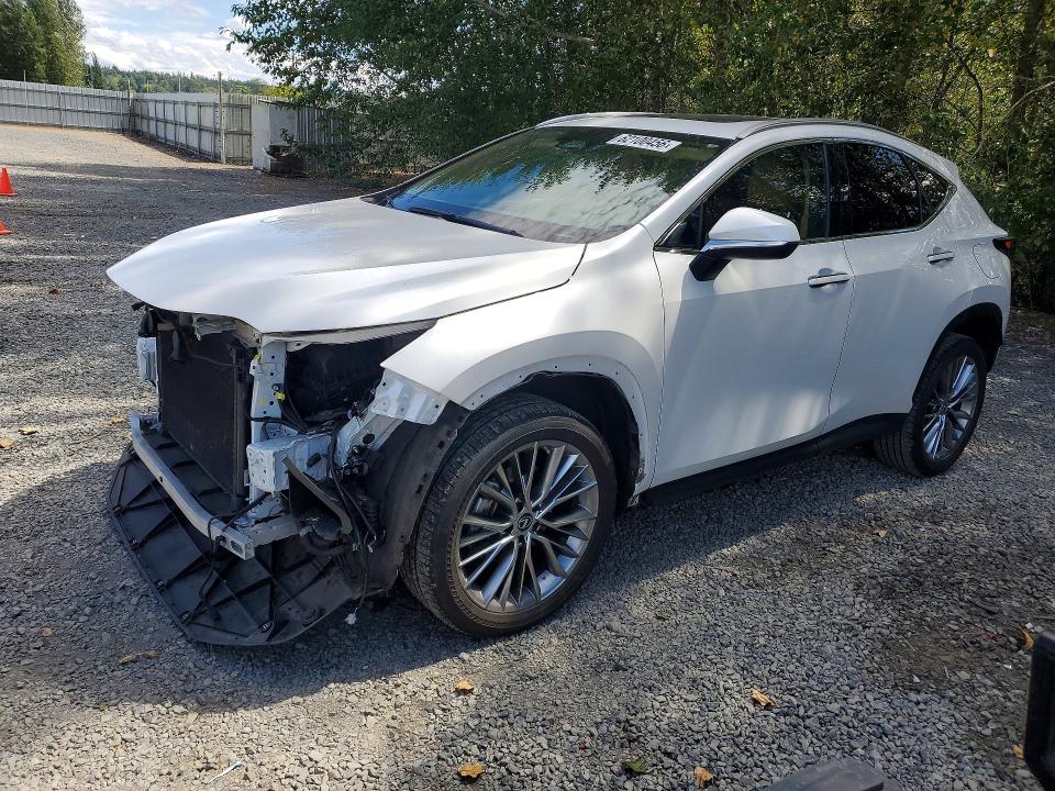 LEXUS NX 2023 with VIN 2T2GKCEZ9PC010278 - Photo from auction