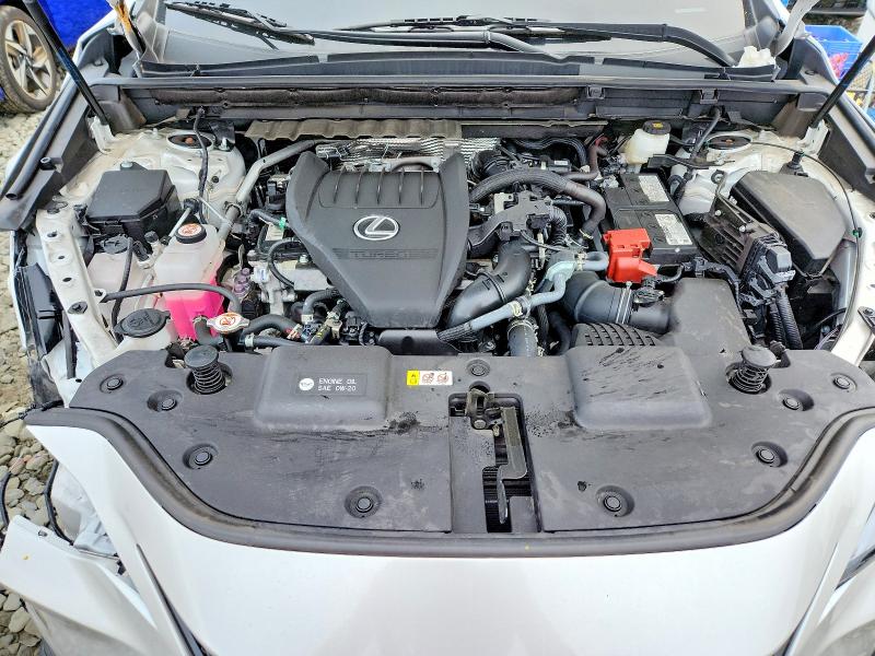 Photo 12 from auction – 2025 LEXUS NX 350 with VIN 2T2AGCEZXSC071493