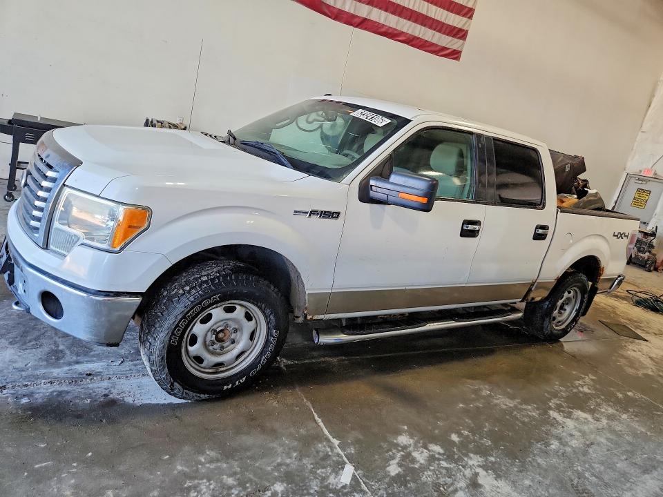 FORD F150 2010 with VIN 1FTFW1EV6AFD33594 - Photo from auction