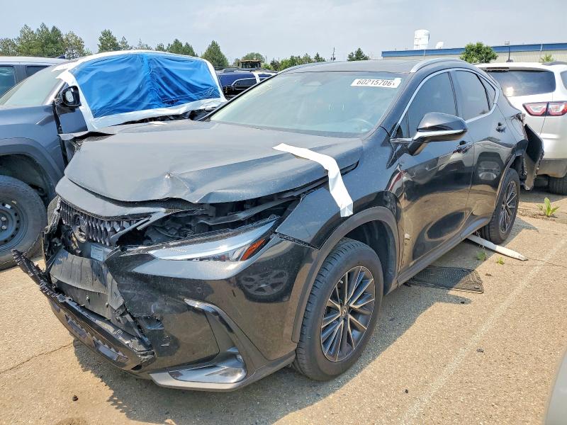 2023 LEXUS NX - Търг №60215706